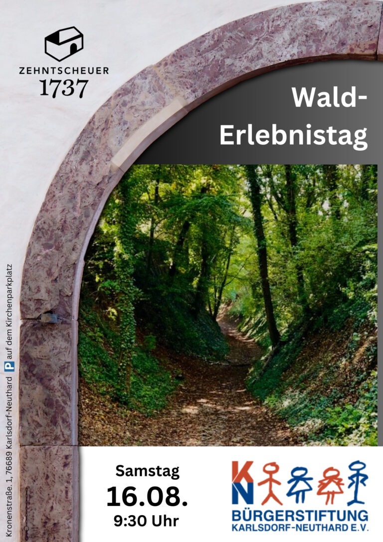 lebensWERTEs: Walderlebnistag für Erwachsene und Familien