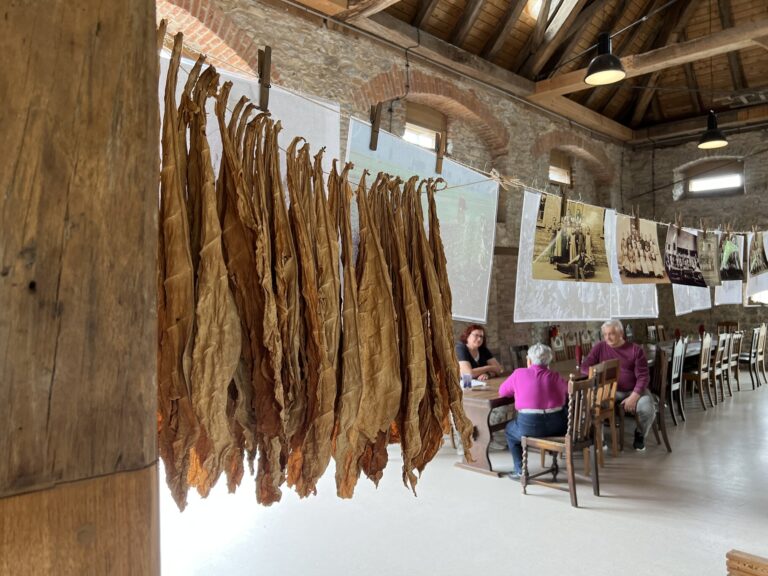 Erzählabend “Tabakanbau in Karlsdorf-Neuthard”