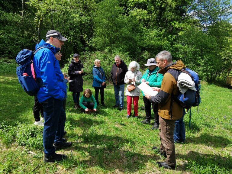 Wildkräuter, Wetterglück und gute Laune: Rückblick auf unsere Kräuterwanderung